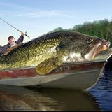 338751287 747555656824272 5597538814675317685 n.jpg?stp=dst jpg p206x206&amp; nc cat=103&amp;ccb=1 7&amp; nc sid