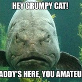 339479790 6392179997479115 778459696964253645 n.jpg?stp=c34.0.206.206a dst jpg p206x206&amp; nc cat=107&amp;