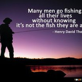 337987440 949423719572006 4920048908283123006 n.jpg?stp=c43.0.206.206a dst jpg p206x206&amp; nc cat=109&amp;