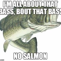 338191918 952814915725954 943066239597928138 n.jpg?stp=c14.0.206.206a dst jpg p206x206& nc cat=102&c.jpg