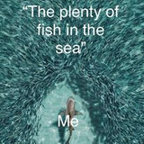 337150752 103690559342188 4534446524979618649 n.jpg?stp=c0.47.206.206a dst jpg p206x206&amp; nc cat=107&amp;