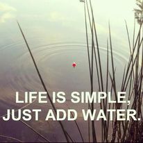 341889472 876859160072655 539336271123559894 n.jpg?stp=dst jpg p206x206& nc cat=103&ccb=1 7& nc sid=.jpg