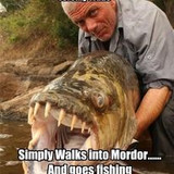 341070607 634992381792379 4173517708229329132 n.jpg?stp=c0.14.206.206a dst jpg p206x206&amp; nc cat=102&amp;