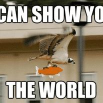 342981286 1572636976580307 7256070376835009432 n.jpg?stp=c35.0.206.206a dst jpg p206x206& nc cat=110.jpg