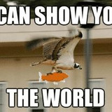 342981286 1572636976580307 7256070376835009432 n.jpg?stp=c35.0.206.206a dst jpg p206x206&amp; nc cat=110