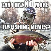 344275963 204644075654553 4818821721199579121 n.jpg?stp=dst jpg p206x206& nc cat=104&ccb=1 7& nc sid.jpg