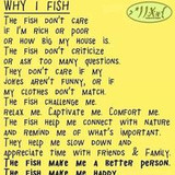 343307351 246425687859920 8767352174121387791 n.jpg?stp=c0.4.206.206a dst jpg p206x206&amp; nc cat=104&amp;c