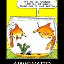 331055680 474977828028792 3540097490035925757 n.jpg?stp=c0.23.206.206a dst jpg p206x206& nc cat=108&.jpg