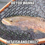 331950396 597184275176236 5611109934263272913 n.jpg?stp=dst jpg p206x206&amp; nc cat=103&amp;ccb=1 7&amp; nc sid