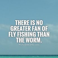 330802052 1253666181894335 5708390085952164478 n.jpg?stp=c0.22.206.206a dst jpg p206x206& nc cat=101.jpg