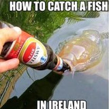 334078149 1271762380390493 5738144405271749175 n.jpg?stp=c0.3.206.206a dst jpg p206x206&amp; nc cat=111&amp;