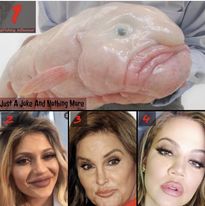 329125593 594046658937144 1336617643002409721 n.jpg?stp=cp6 dst jpg s206x206& nc cat=105&ccb=1 7& nc.jpg