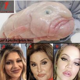 329125593 594046658937144 1336617643002409721 n.jpg?stp=cp6 dst jpg s206x206&amp; nc cat=105&amp;ccb=1 7&amp; nc