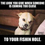 334435402 1136843533649819 7117421068404497388 n.jpg?stp=dst jpg p206x206&amp; nc cat=110&amp;ccb=1 7&amp; nc si