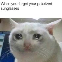 333207111 728690128721623 1235590033102770326 n.jpg?stp=c2.0.206.206a dst jpg p206x206& nc cat=104&c.jpg