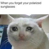 333207111 728690128721623 1235590033102770326 n.jpg?stp=c2.0.206.206a dst jpg p206x206&amp; nc cat=104&amp;c