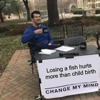 335453199 1200257703941067 8568288851579713173 n.jpg?stp=c34.0.206.206a dst jpg p206x206& nc cat=105.jpg