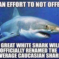 332475585 662548682343722 2238690767086052183 n.jpg?stp=c38.0.206.206a dst jpg p206x206& nc cat=100&.jpg