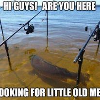 335098515 2082545395284848 2754210530844061741 n.jpg?stp=c34.0.206.206a dst jpg p206x206& nc cat=102.jpg