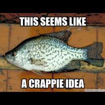 330620315 589085686464134 3647432692162463443 n.jpg?stp=c34.0.206.206a dst jpg p206x206& nc cat=110&.jpg