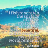 344210422 558241829710818 4543642547635414540 n.jpg?stp=c0.41.206.206a dst jpg p206x206&amp; nc cat=111&amp;