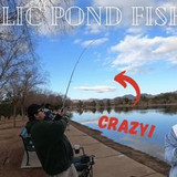 346498077 216068447803523 1472591715331365107 n.jpg?stp=c81.0.206.206a cp6 dst jpg p206x206&amp; nc cat=