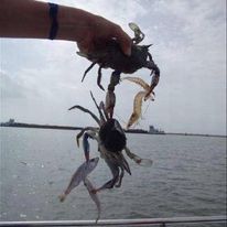 344355958 1010549649916350 3817674214844087826 n.jpg?stp=c0.21.206.206a dst jpg p206x206& nc cat=104.jpg