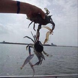 344355958 1010549649916350 3817674214844087826 n.jpg?stp=c0.21.206.206a dst jpg p206x206&amp; nc cat=104