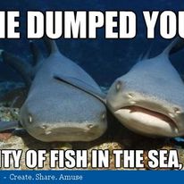 344242747 570859891820406 194381408306864517 n.jpg?stp=c49.0.206.206a dst jpg p206x206& nc cat=107&c.jpg