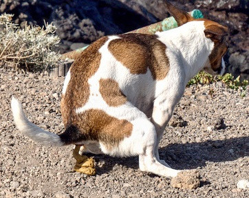 1000 F 269304295 RAWkL5WGCfMUo6GY4xM5ruZ3JfhDFa2W.jpg