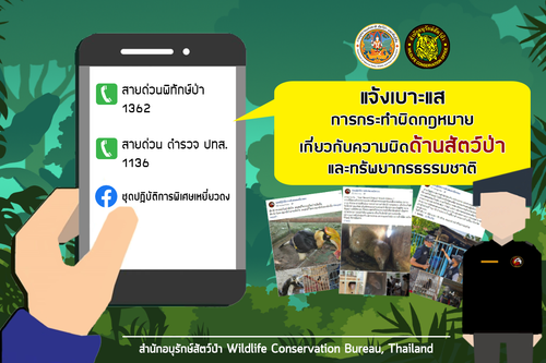 64 mnre wildlife hotline.png