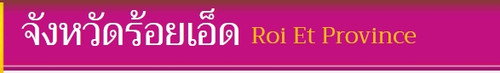 logo roiet.jpg