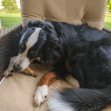 PXL 20230509 122127902 exported stabilized 1683634999743.gif