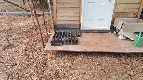 waiting to plant.jpg