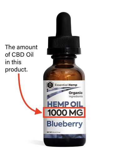 Screen Shot 2020 02 01 at 1.31.06 PM.png