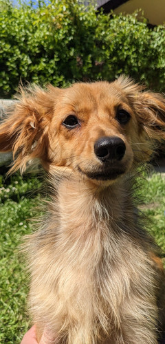 PXL 20230508 114820516 (2).jpg