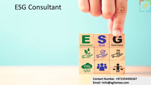 ESG Consultant 17.jpg