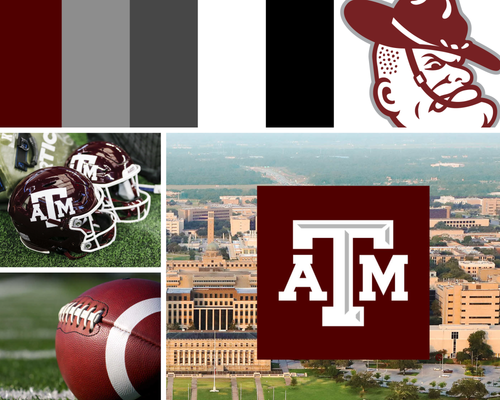 Texas A&M Aesthetic 20230409 120908 0022.png