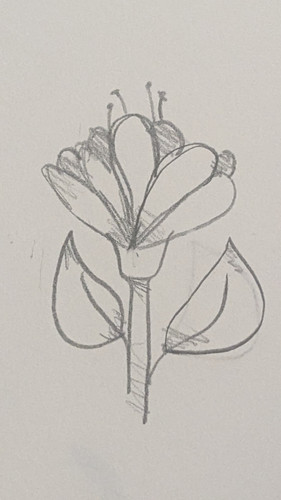 PXL 20230410 014110396.PORTRAIT.ORIGINAL.jpg