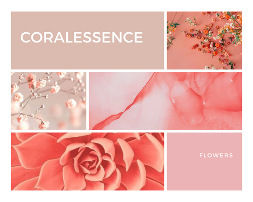 Coralescence 20230409 120908 0015.png