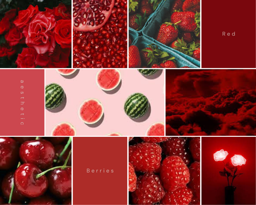 Red Aesthetic 20230409 120908 0010.png