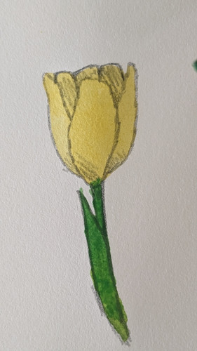 PXL 20230408 181838477.PORTRAIT.ORIGINAL.jpg