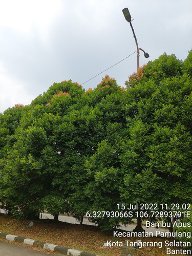 TimePhoto 20220715 112902.jpg