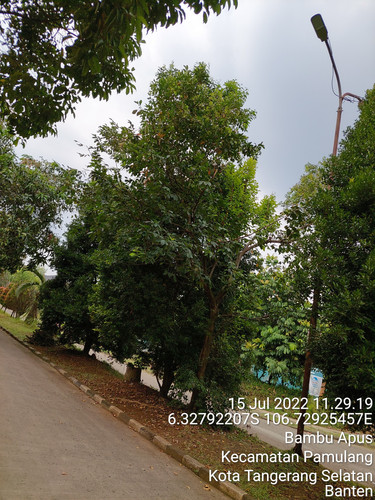 TimePhoto 20220715 112919.jpg