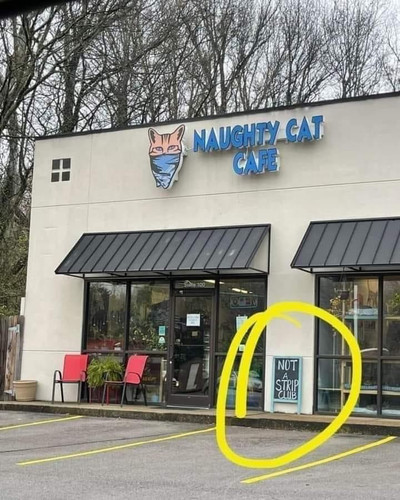 funny pictures 7935842.jpg