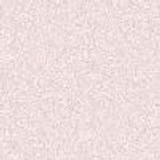 bg20