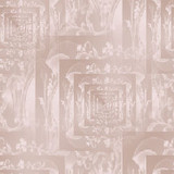 bg5
