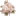 rose16.gif