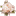 rose16b.gif