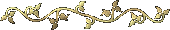 abundancedivider.gif